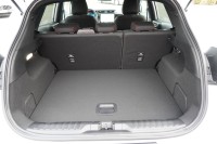 Ford Puma ST-Line 1.0 EB Aut.