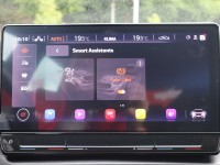 Cupra Formentor 2.0 TSI VZ