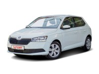 Skoda Fabia 1.0 MPI Active Sitzheizung Regensenor Scheckheftgepflegt