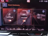 Cupra Terramar 1.5 eTSI DSG