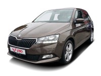 Skoda Fabia 1.0 TSI Ambition Klimaaut. Navi ACC AHK