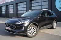 Ford Kuga 1.5 EcoBoost Titanium Keyless-Go Kamera AHK