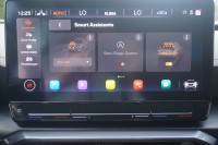 Cupra Formentor 2.0 VZ 4Drive