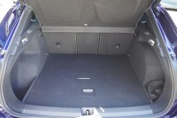 Cupra Terramar 1.5 eTSI DSG