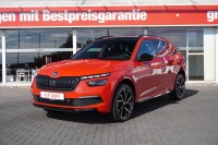Vorschau: Skoda Kamiq 1.0 TSI Monte Carlo