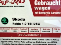 Skoda Fabia 1.0 TSI DSG 2-Zonen-Klima Sitzheizung LED
