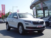 Skoda Kodiaq 2.0 TSI Ambition 4x4 DSG