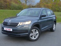 Vorschau: Skoda Kodiaq 1.4 16V TSI 4x4