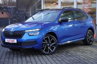 Vorschau: Skoda Kamiq 1.0 TSI Monte Carlo