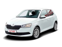 Skoda Fabia 1.0 TSI Cool Edition Sitzheizung Bluetooth Einparkhilfe hinten