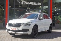 Vorschau: Skoda Kamiq 1.5 TSI