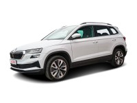 Skoda Karoq 2.0 TDI SmartLink DAB Sitzheizung PDC USB