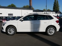 Vorschau: Skoda Kamiq 1.0 TSI