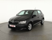 Skoda Fabia 1.0 MPI Active LED Sitzheizung DAB Klima