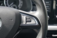 Skoda Scala 1.0