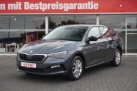 Vorschau: Skoda Scala 1.0 TSI DSG