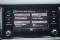 Skoda Kodiaq 1.4 16V TSI Ambition