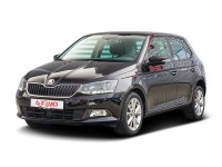 Skoda Fabia 1.0 TSI DSG Clever ACC Navi SmartLink DAB
