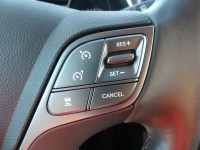 Hyundai Santa Fe 2.2 T-GDI blue Premium 4WD