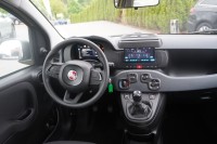 Fiat New Panda Pandina 1.0 mHEV