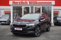 Vorschau: Skoda Karoq 2.0 TDI Tour