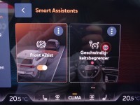 Cupra Terramar 1.5 eTSI DSG