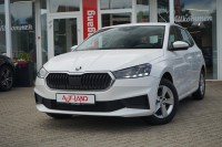 Vorschau: Skoda Fabia 1.0 TSI DSG