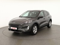 Ford Kuga 2.0 EcoBlue 4x4 Titanium X 2-Zonen-Klima Navi Sitzheizung