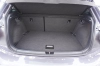 VW Polo 2.0 TSI GTI DSG