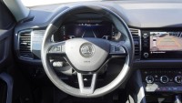 Skoda Kodiaq 2.0 TDI Drive 125 4x4
