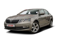 Skoda Octavia 1.6 TDI DSG LED Totwinkel ACC Kamera DAB