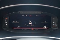 Seat Tarraco 2.0 TDI Xcellence 7-Sitzer DSG