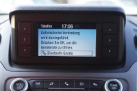 Ford Transit Connect Kasten