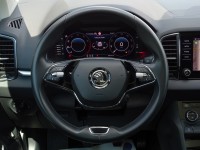 Skoda Karoq Drive 125
