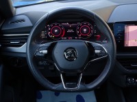 Skoda Kamiq 1.0 TSI DSG Monte Carlo
