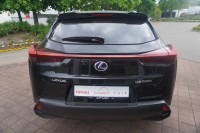 Lexus UX 250h Amazing Edition