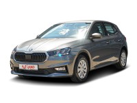 Skoda Fabia 1.0 MPI 2-Zonen-Klima Sitzheizung LED
