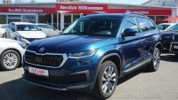 Vorschau: Skoda Kodiaq 2.0 TDI 4x4