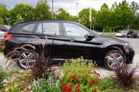 BMW X1 xDrive 25 e M Sport