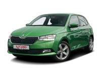 Skoda Fabia 1.0 MPI Cool Plus Sitzheizung DAB PDC USB