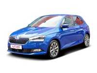 Skoda Fabia 1.0 TSI Clever Best of Navi Sitzheizung LED