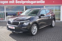 Vorschau: Skoda Kamiq 1.0 TSI DSG