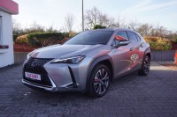 Lexus UX 2.0 Hybrid 250 h LED Navi Kamera Totwinkel