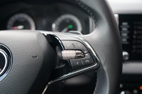Skoda Karoq 2.0 TDI DSG Drive 125 4x4
