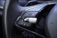 Skoda Octavia RS Plus 2.0 TSI DSG