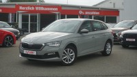 Vorschau: Skoda Scala 1.0 TSI