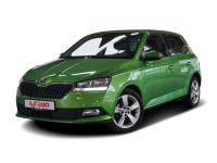 Skoda Fabia 1.0 MPI Active Sitzheizung DAB PDC