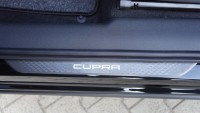Cupra Terramar 1.5 eTSI DSG