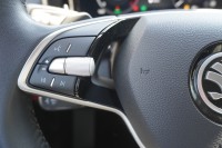 Skoda Kodiaq 1.5 TSI mHEV Selection DSG