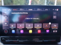 Cupra Formentor 2.0 TDI 4Drive